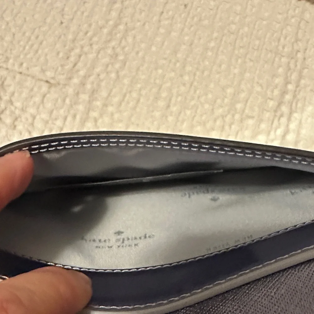 Kate Spade Iridescent Purple Crossbody Bag